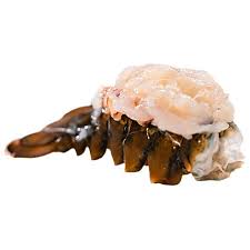 Lobster