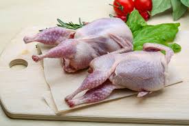 Quail