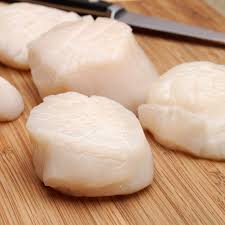 Scallops